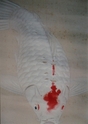 「遊鯉」　胡粉の剥落の修復例